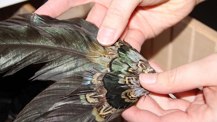 Auch diese seltenen Federn sind unter den Schätzen. Foto: Ulrike Müller