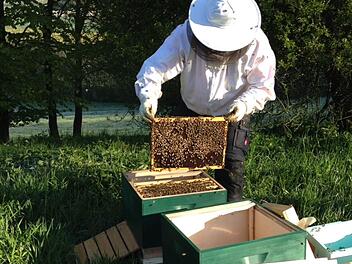 Jörg Sieben bei den Bienen Foto: Petra Malbrich