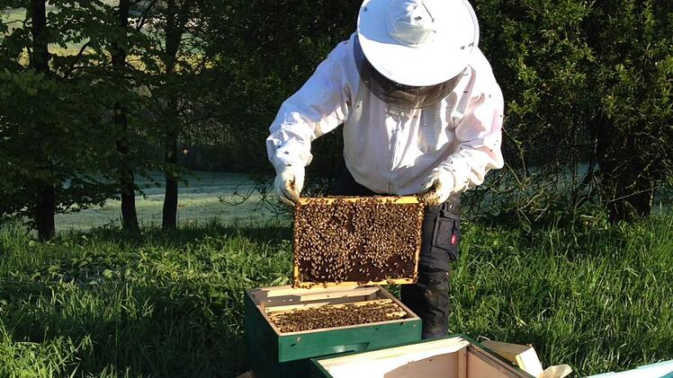 Jörg Sieben bei den Bienen Foto: Petra Malbrich