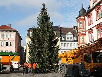15 Meter maß die Fichte, als sie noch in einem Garten an der Hutstraße stand. Nun steht sie auf dem Marktplatz - unverzichtbar für den Weihnachtsmarkt.