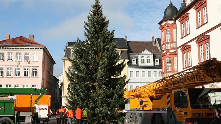 15 Meter maß die Fichte, als sie noch in einem Garten an der Hutstraße stand. Nun steht sie auf dem Marktplatz - unverzichtbar für den Weihnachtsmarkt.