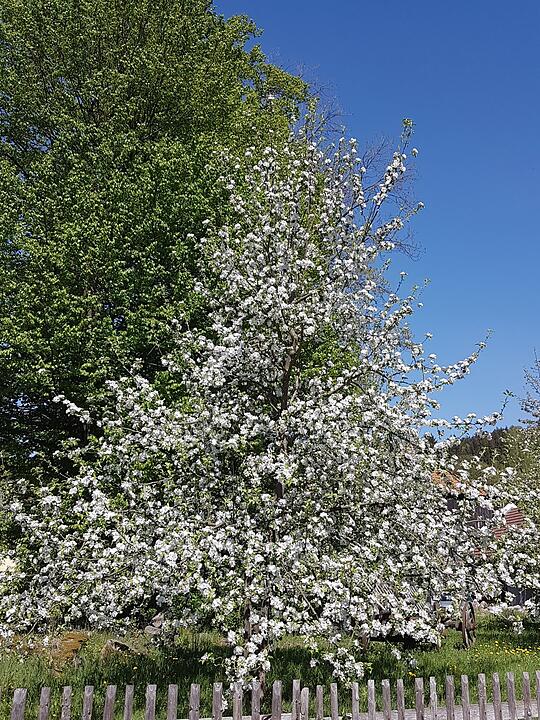 Die schönsten Frühlingsfotos aus Kronach und Umgebung