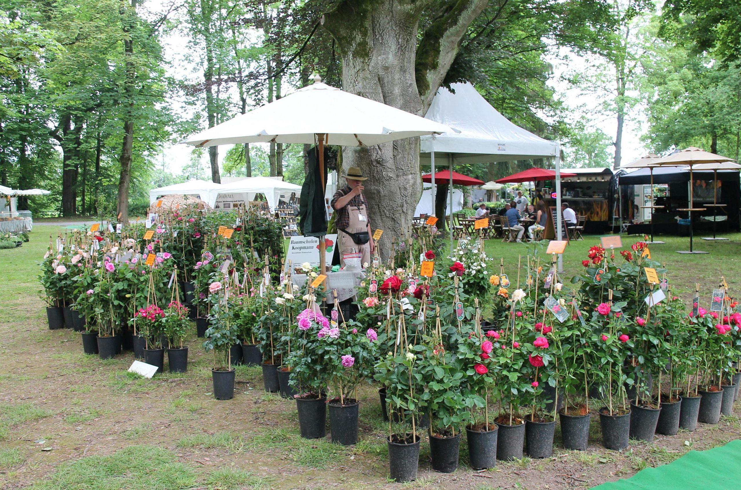Grünes und Blühendes rund ums Wasserschloss