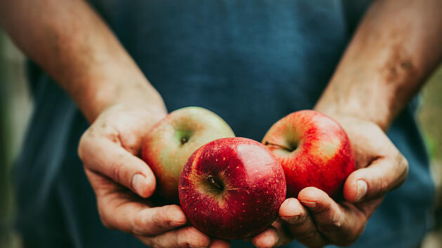 &Auml;pfel sollen helfen, das Demenzrisiko zu senken.