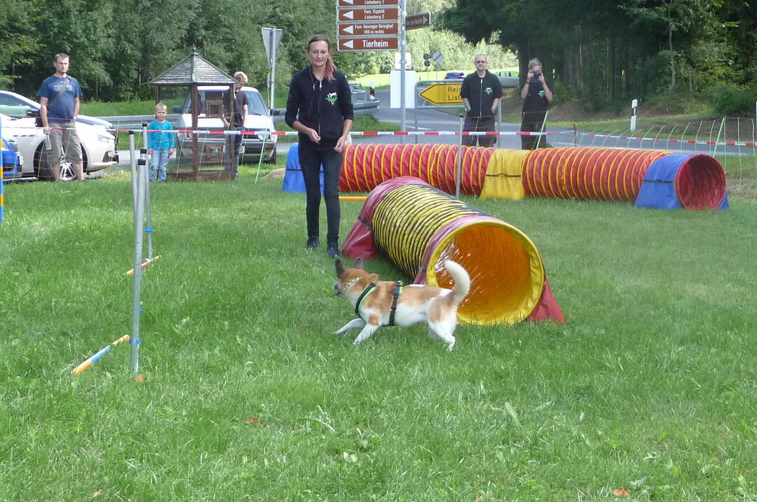 19.8.2017 Tierheimfest Kulmbach