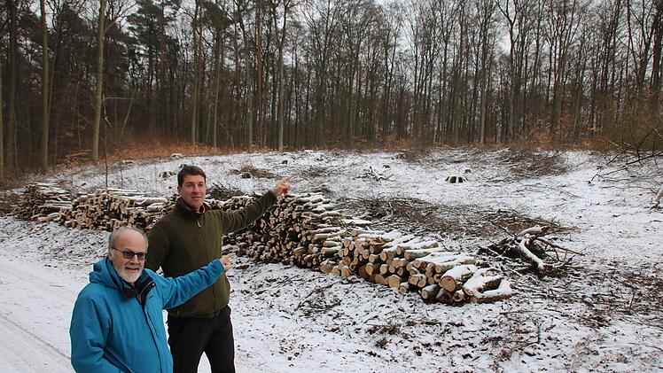 Eindrücke von den künftigen Windrad-Standorten im Sulzthaler Wald. Foto: Ralf Ruppert
