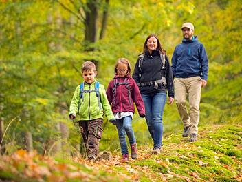 pannende Wanderungen unter einem schier endlosen Blätterdach können Familien im Spessart und Odenwald unternehmen.  Foto: djd/Spessart Tourismus und Marketing GmbH