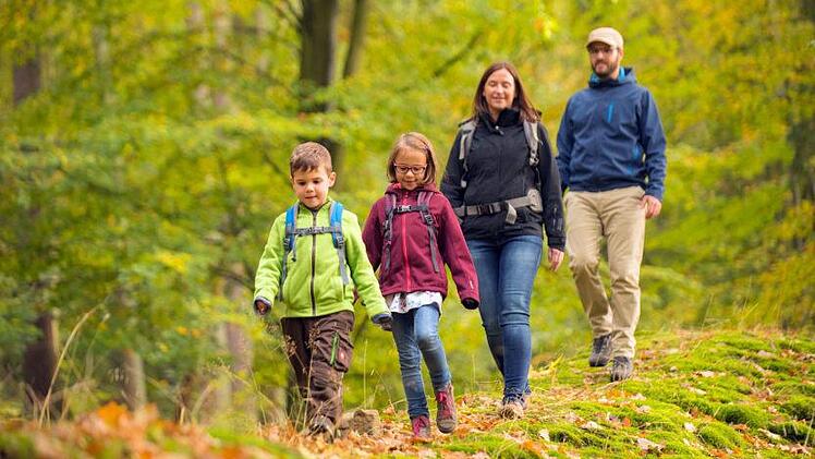pannende Wanderungen unter einem schier endlosen Blätterdach können Familien im Spessart und Odenwald unternehmen.  Foto: djd/Spessart Tourismus und Marketing GmbH