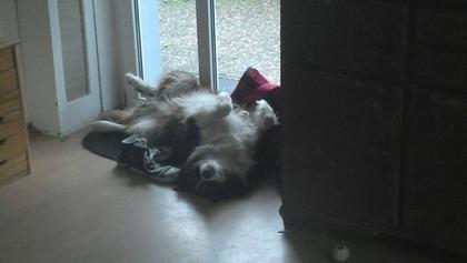 Foto: Christl Kleespies