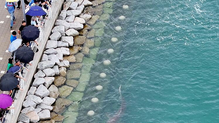 Hai im s&uuml;dkoreanischen Busan