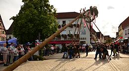 Vorschaubild