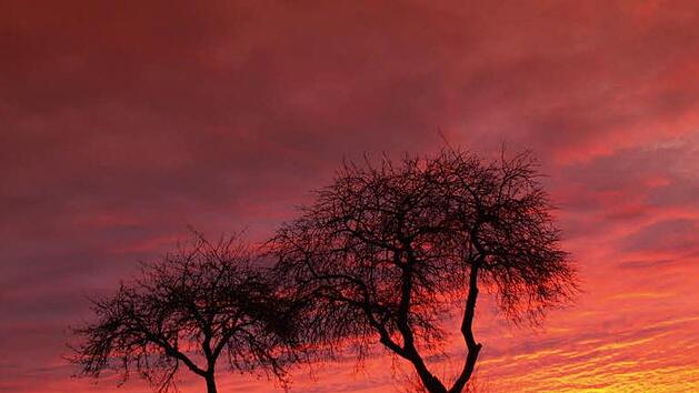 "Abendrot - Gutwetterbot, Morgenrot mit Regen droht" - Was ist an  bekannten Bauernregel wie dieser dran? Foto: Archiv/kr