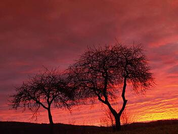 "Abendrot - Gutwetterbot, Morgenrot mit Regen droht" - Was ist an  bekannten Bauernregel wie dieser dran? Foto: Archiv/kr