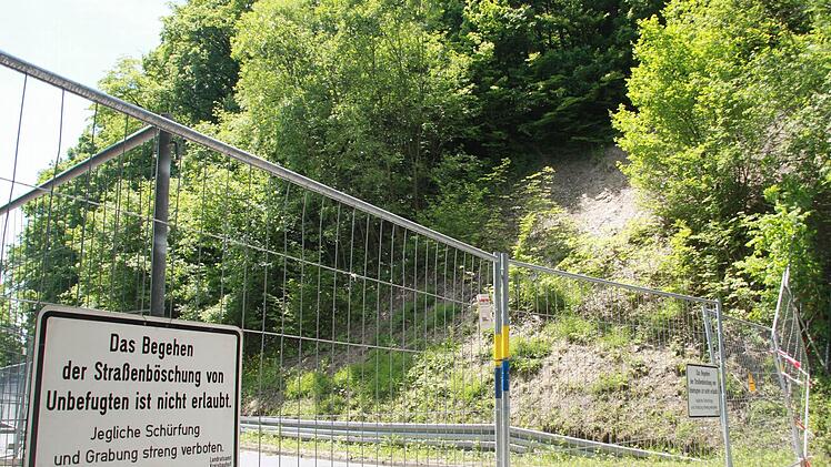 Nicht einmal Fußgänger dürfen die Kreisstraße LIF 7 derzeit passieren, denn etliche Bäume drohen wegen des weichen Bodens umzustürzen.