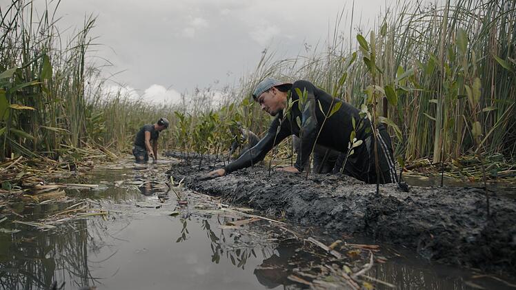 Schwimmende Inseln sollen gegen Erosion und &Uuml;berschwemmung helfen.