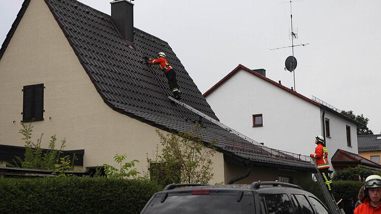 Foto: News5 / Grundmann