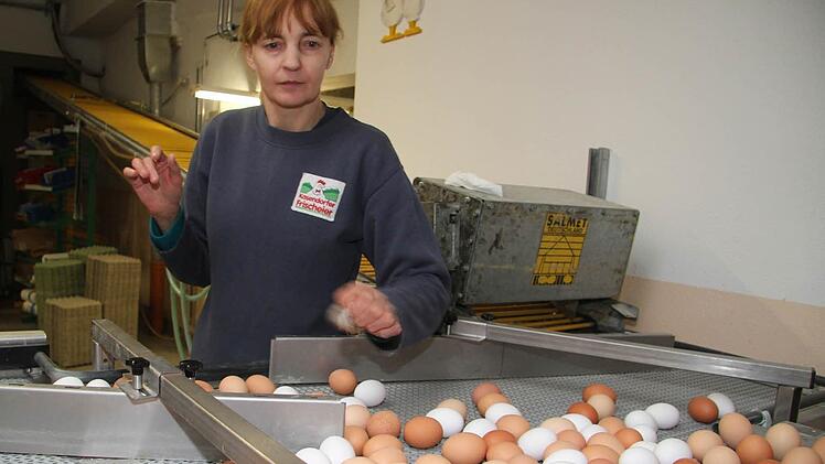 Lena Stein hat eine verantwortungsvolle Aufgabe, denn sie sortiert zerbrochene Eier aus und säubert stark verschmutzte Eier - alles andere erledigt die Maschine. Foto: Sonja Adam