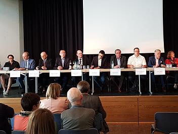 Der Runde Tisch  war vor allem ein langer Tisch mit (von links): Hallenbadvereinsvorsitzender Petra Hohenberger, Susanne Makowski (BSJ), Horst Hofmann (Schulzweckverband), Landrat Wilhelm Schneider, Eltmanns Bürgermeister Michael Ziegler, Zeils Bürgermeister Thomas Stadelmann, SC-Haßberge-Vorsitzendem Julian Müller, Sands Bürgermeister Bernhard Ruß, Johannes Rennert von der Wasserwacht, den Landtagsabgeordneten Steffen Vogel (CSU) und Kathi  Petersen (SPD), Paul-Bernhard Wagner als Vertreter ...