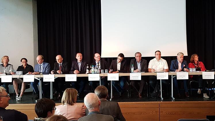 Der Runde Tisch  war vor allem ein langer Tisch mit (von links): Hallenbadvereinsvorsitzender Petra Hohenberger, Susanne Makowski (BSJ), Horst Hofmann (Schulzweckverband), Landrat Wilhelm Schneider, Eltmanns Bürgermeister Michael Ziegler, Zeils Bürgermeister Thomas Stadelmann, SC-Haßberge-Vorsitzendem Julian Müller, Sands Bürgermeister Bernhard Ruß, Johannes Rennert von der Wasserwacht, den Landtagsabgeordneten Steffen Vogel (CSU) und Kathi  Petersen (SPD), Paul-Bernhard Wagner als Vertreter ...