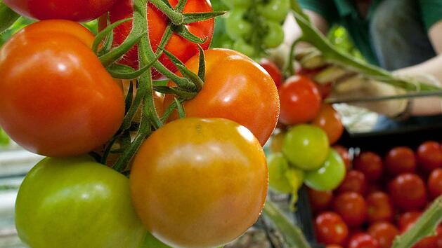 Symbolbild: Patrick Pleul/dpa