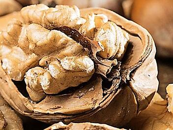 Walnüsse enthalten neben Fett unter anderem viele Antioxidantien, die freie Radikale im Körper fangen sollen.  Foto: Franziska Gabbert/dpa-mag