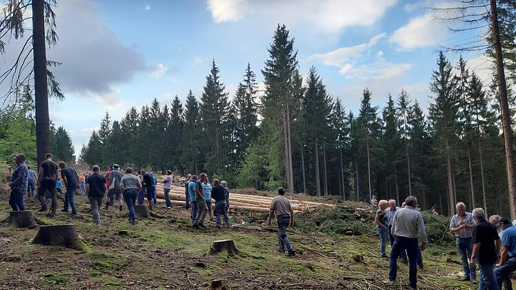Hier stand der Wald von Gerald Schneider. Foto: Christian Schuberth
