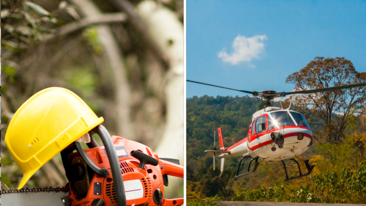 Schwerer Unfall bei Baumfällarbeiten