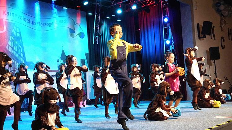 Die erste Prunksitzung des KCH bot für jeden Geschmack etwas.   Foto: Richard Sänger