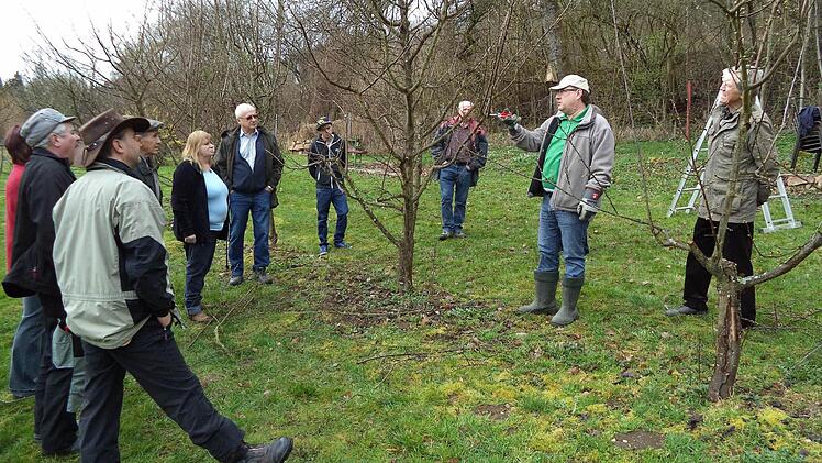 Die Ebermannstadter Gartenfreunde lernen , was sie für einen blühenden Garten so alles tun müssen. Fotos: privat