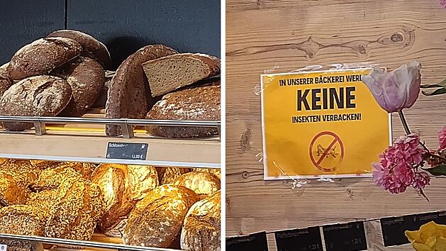 Ein B&auml;ckerei-Regal mit verschiedenen Broten und ein gelbes Schild: &bdquo;In unserer B&auml;ckerei werden keine Insekten verbacken&ldquo;, daneben Blumen.