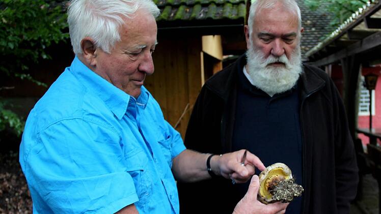 Hans Krautblatter erklärt Christian Kaller (r.) die Besonderheiten des Wurzelnden Bitterröhrlings