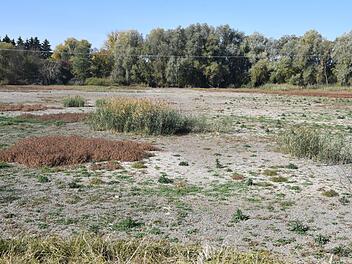 Verdunstet:  der See beim AutobahnkreuzBamberg. Foto: Ronald Rinklef