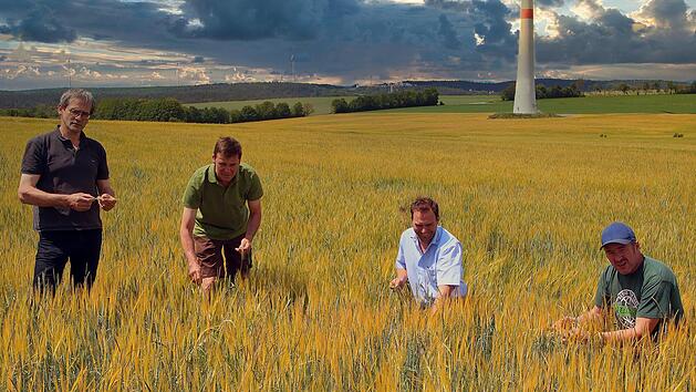Auf der fast vergeblichen Suche nach intakten &Auml;hren: Bauernverbands-Kreisgesch&auml;ftsf&uuml;hrer Georg Scheuring, Landwirt Roland Bieberich, Pflanzenbau-Fachberater Stefan Karch und Kreis-Bauernverbandsobmann Edgar Thomas.  Fotos: Dieter Britz