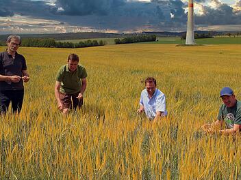 Auf der fast vergeblichen Suche nach intakten Ähren: Bauernverbands-Kreisgeschäftsführer Georg Scheuring, Landwirt Roland Bieberich, Pflanzenbau-Fachberater Stefan Karch und Kreis-Bauernverbandsobmann Edgar Thomas.  Fotos: Dieter Britz