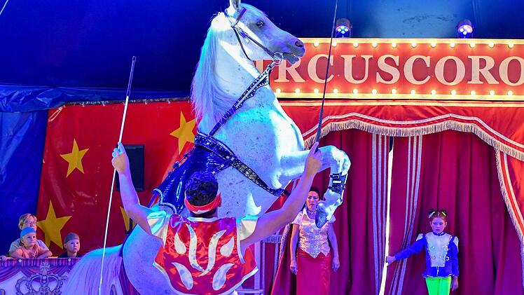 Sergio Schmidt mit Araberhengst