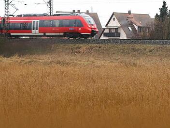 Eine ausgebüxte Kuh hat am Donnerstagabend für eine Betriebsstörung auf der Bahnstrecke von Treuchtlingen nach Würzburg gesorgt. Symbolfoto: Barbara Herbst