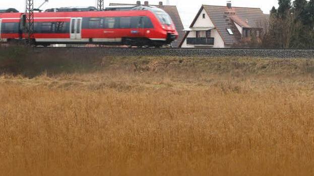 Eine ausgebüxte Kuh hat am Donnerstagabend für eine Betriebsstörung auf der Bahnstrecke von Treuchtlingen nach Würzburg gesorgt. Symbolfoto: Barbara Herbst