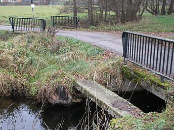 Insgesamt wurden 20 Bauwerke überprüft.  Foto: Hilmar Ruppert