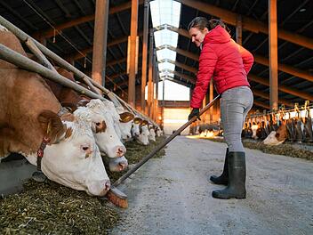 Die ehemalige Milchk&ouml;nigin Sonja Wagner versorgt die K&uuml;he auf dem heimischen Hof.  Foto: Adriana Lochner