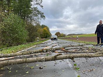 Umgefallene Bäume, wie hier bei Gundersreuth, haben  viele Straßen blockiert.