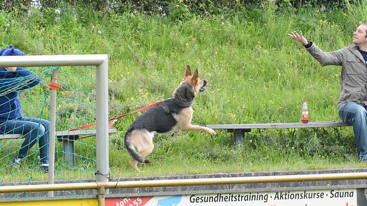 Hundspiel - Handspiel. Foto: ssp