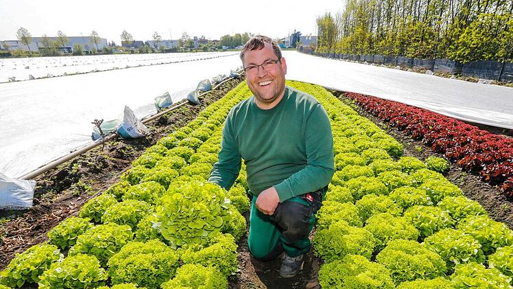 Dank warmer Märztage und Folienanbau kann Hans-Jürgen Eichfelder seine Mischsalate heuer so früh wie noch nie ernten. Foto: Matthias Hoch