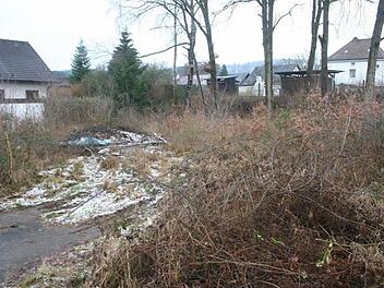 Alles andere als ein Schmuckst&uuml;ck: Ein verkommenes Gr&uuml;ndst&uuml;ck im Bereich "Am Br&auml;ndlein". Ob die Stadt hier Abhilfe schaffen kann, ist aufgrund der Gesetzeslage mehr als fraglich.Foto: Martin Rebhan