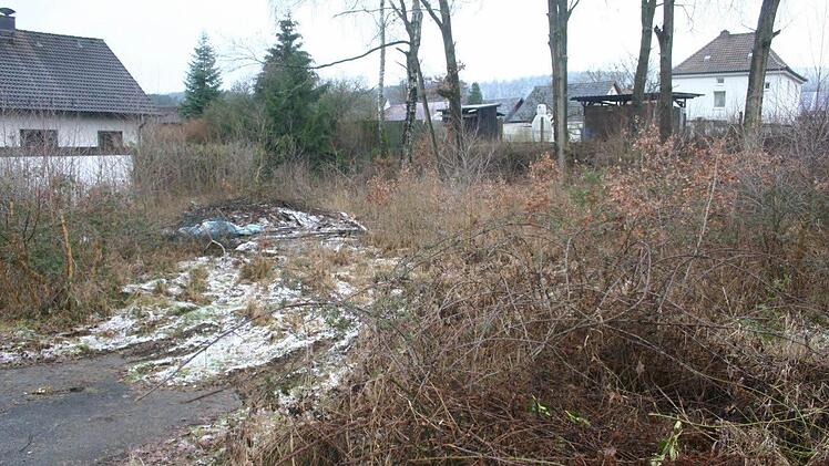 Alles andere als ein Schmuckst&uuml;ck: Ein verkommenes Gr&uuml;ndst&uuml;ck im Bereich "Am Br&auml;ndlein". Ob die Stadt hier Abhilfe schaffen kann, ist aufgrund der Gesetzeslage mehr als fraglich.Foto: Martin Rebhan