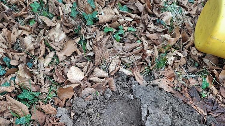Kinder hinterlassen in Forchheim Spur der Verwüstung - "Bin so wütend, sauer, enttäuscht"