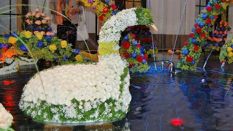 Ein Schwan aus weißen Rosen Foto: Sigismund von Dobschütz