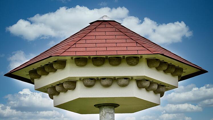 So sieht ein Artenschutzhaus für Mehlschwalben, Mauersegler und Fledermäuse aus.