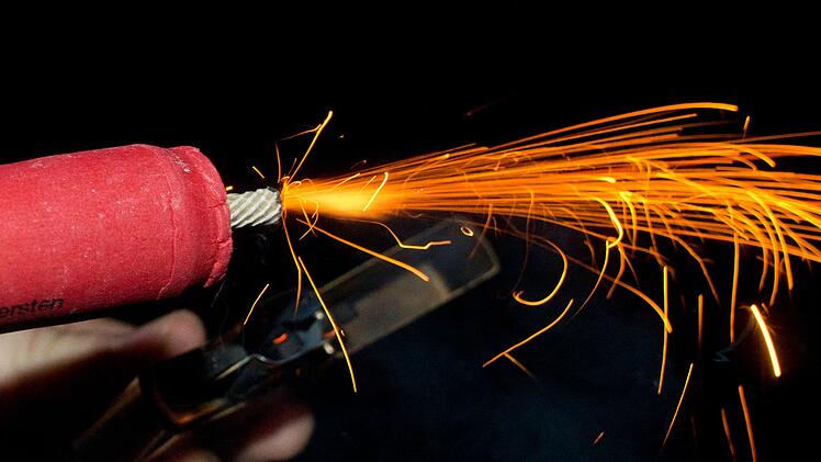 Silvester-B&ouml;llerei l&auml;sst Tiere leiden