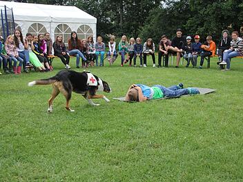 Der Suchhund "Emil" des BRK-Haßberge, zeigte seine Fähigkeit, eine Person zu suchen und aufzuspüren, um dann entsprechend durch seine Körperhaltung und Bellen seinen Erfolg anzuzeigen. Die Kinder verfolgten das Ganze mit gespannter Aufmerksamkeit.  Foto: Helmut Will