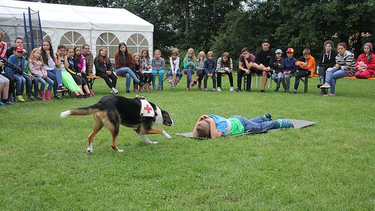 Der Suchhund "Emil" des BRK-Haßberge, zeigte seine Fähigkeit, eine Person zu suchen und aufzuspüren, um dann entsprechend durch seine Körperhaltung und Bellen seinen Erfolg anzuzeigen. Die Kinder verfolgten das Ganze mit gespannter Aufmerksamkeit.  Foto: Helmut Will